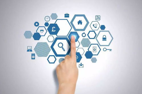 健康管理与咨询 掌握科学方法，拥抱优质生活