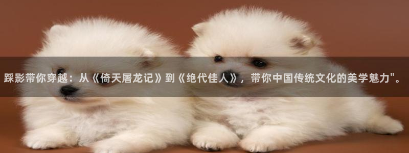 九七影院电视剧大全在线观看：踩影带你穿越：从《倚天屠龙记》到《绝代佳人》，带你中国传统文化的美学魅力\