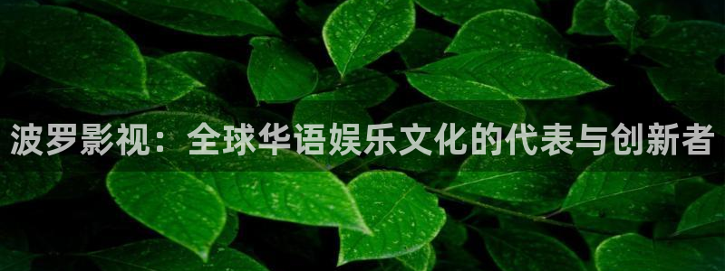 九七电影网手机：波罗影视：全球华语娱乐文化的代表与创新者