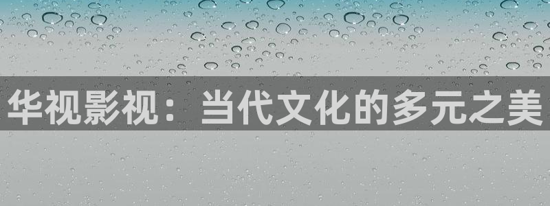 九七电影网手机：华视影视：当代文化的多元之美