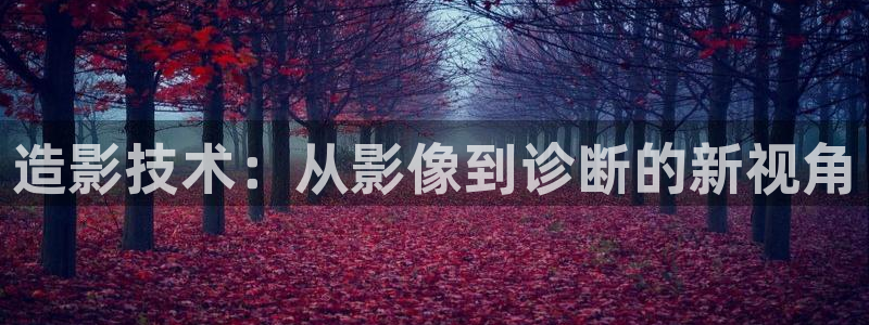九七电影网大片：造影技术：从影像到诊断的新视角