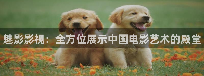 神马电影院九七：魅影影视：全方位展示中国电影艺术的殿堂
