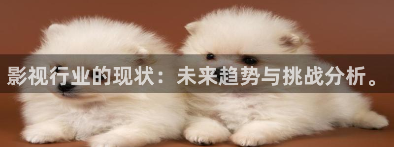 九七电影院手机在线观看电视剧免费：影视行业的现状：未来趋势与挑战分析。