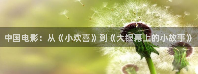 九七理论电影在线观看：中国电影：从《小欢喜》到《大银幕上的小故事》
